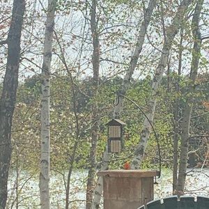 Meet your Posher, Kaylie